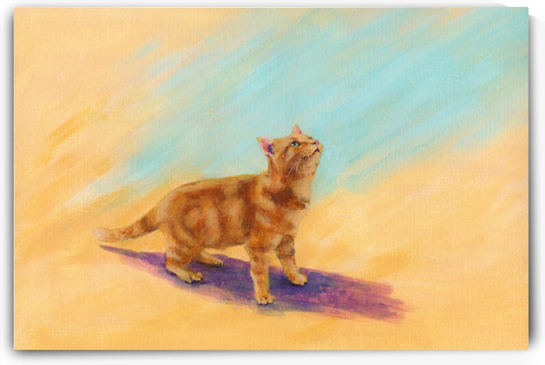 Playful ginger cat by Karen Kaspar