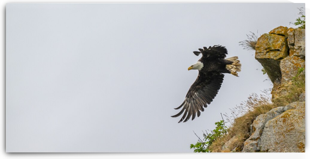 DN2 6632 by David Northall