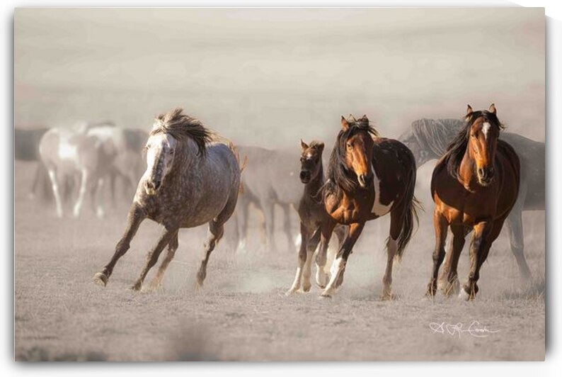 Runners by Susan Lynn Cooke