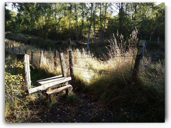 Stile in the Scottish Highlands                                                                                                                      by Catriona Roberts Nature Photography and Designs