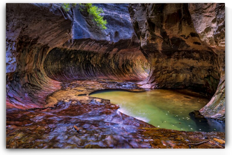 Zion Subway  by Danny Ritchey Photography