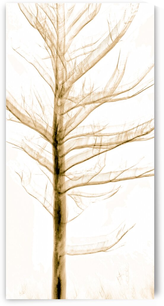 Winter Shiver by Dave Therrien