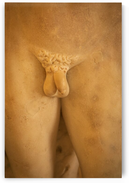 Detail of Male Genitals on Ancient Marble Statue by Paolo Modena