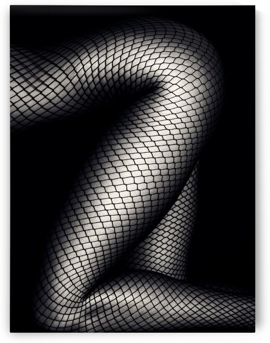 Legs in Fishnet Stockings 2 by Johan Swanepoel