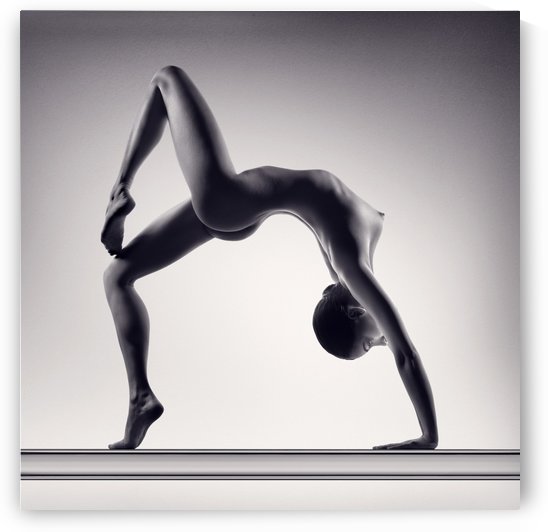 Nude woman fine art 8 by Johan Swanepoel