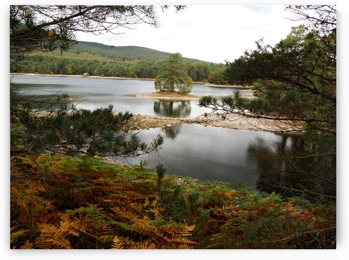Beautiful View of Loch Vaa                                                                                                                      by Catriona Roberts Nature Photography and Designs