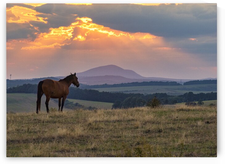 Picturesque Eve by Kristal Kraft