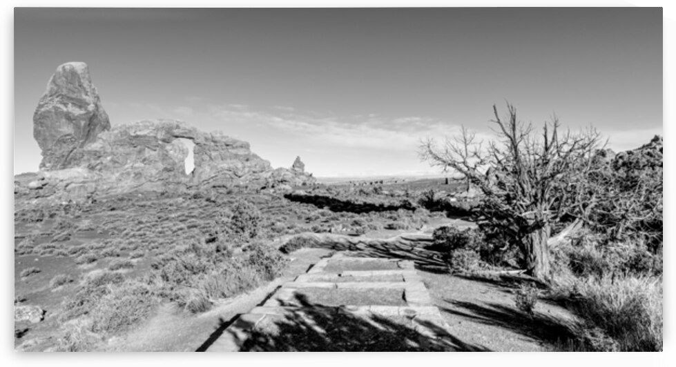 Turret Arch Pathway Pano Grayscale by Jennifer White
