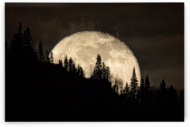 Rocky Mountain Moon 0C5A0417  by Touch Of Frank Photography