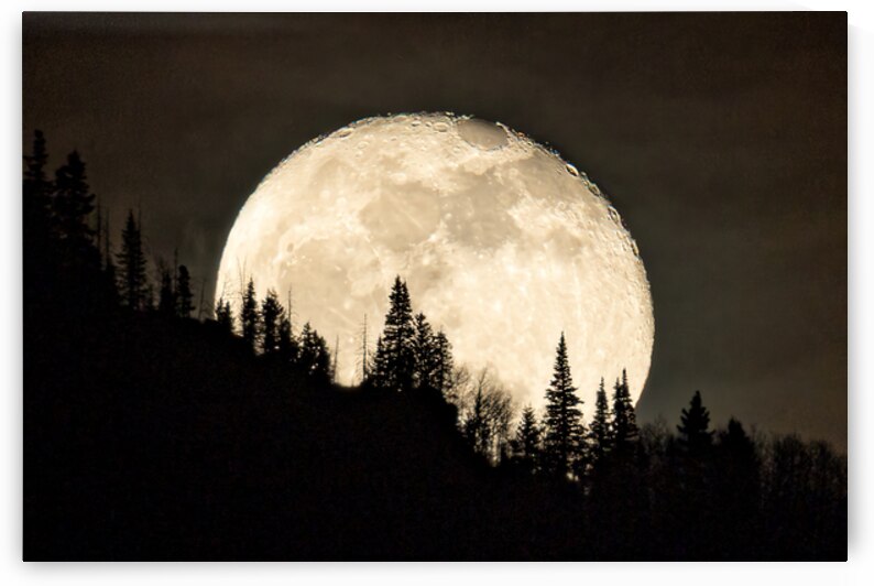 Rocky Mountain Moon 0C5A0422 by Touch Of Frank Photography