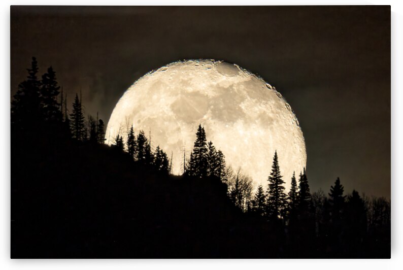 Rocky mountain Moon 0C5A0420 by Touch Of Frank Photography