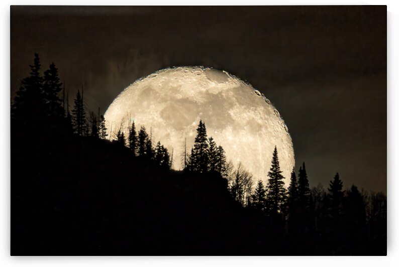 Rocky Mountain Moon 0C5A0418 by Touch Of Frank Photography