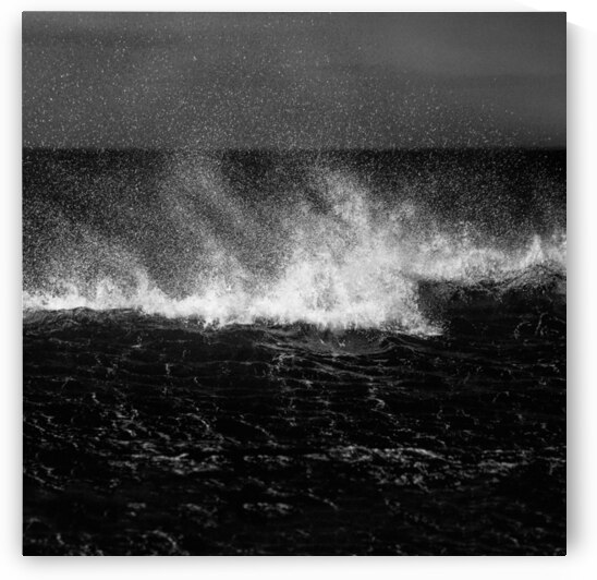 Offshore by Dave Bowman