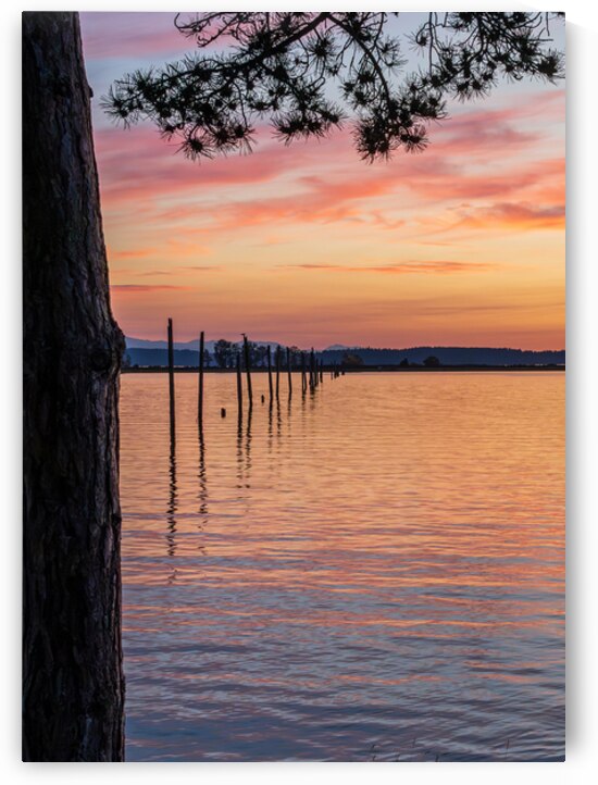 Dramatic sunset clouds over Possession Sound Everett in Washingt by Steve Heap