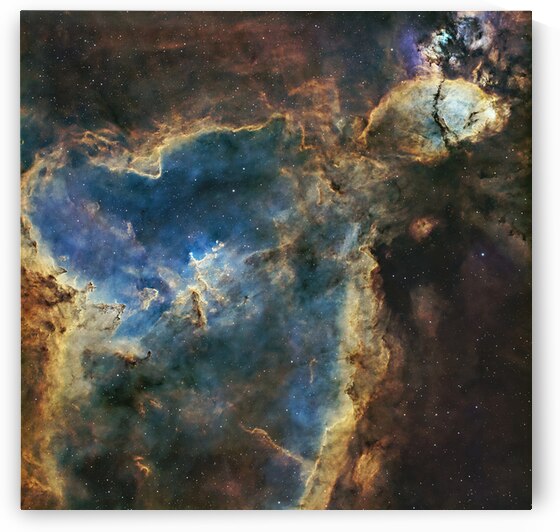 The Head & The Heart by Toozastro