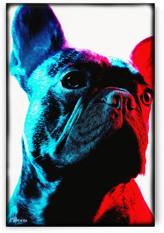 Portrait of french bulldog FA 25 2x3  52 by Ksavera ART