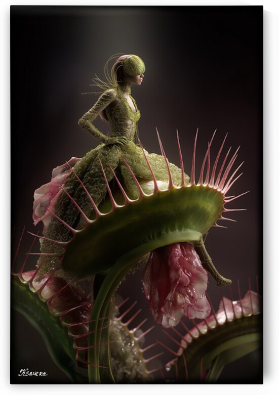 Lady Venus Fly trap FA 25 2x3  90 by Ksavera ART