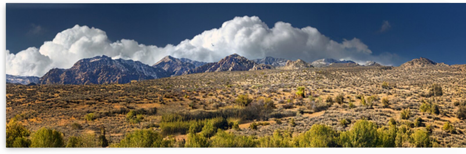 Billowing Clouds At Red Rocks Nevada by Frank Wilson