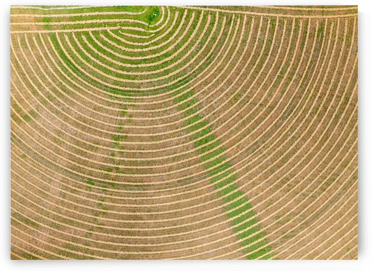 Circular pattern of crops in fields seen from drone near Winthro by Steve Heap