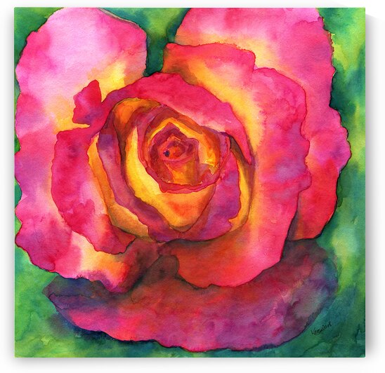Beautiful rose watercolor painting by Karen Kaspar
