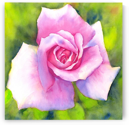 New Years Rose watercolor painting  by Karen Kaspar