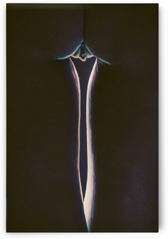 Silent Aperture of Light by Millie R Lissow