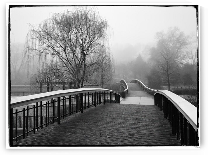 Misty Morn by Ricky A Richardson 