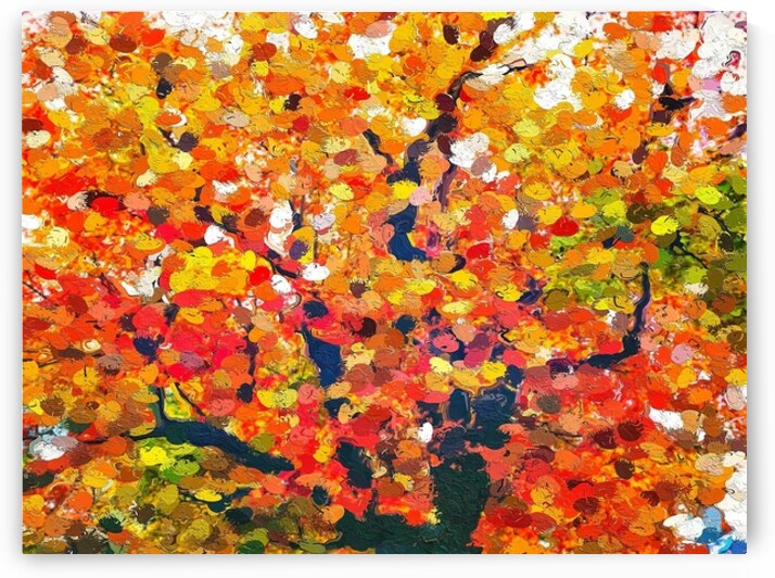 Autumn Menagerie by Ricky A Richardson 