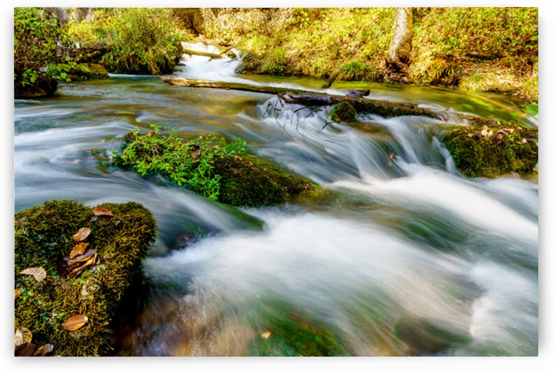 Rushing Waters Of Greer Spring by Jennifer White
