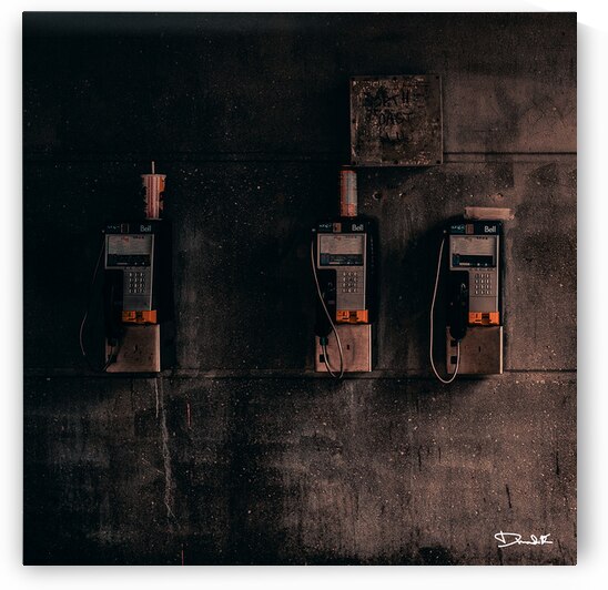 DSC05226   Faune by Dramatik