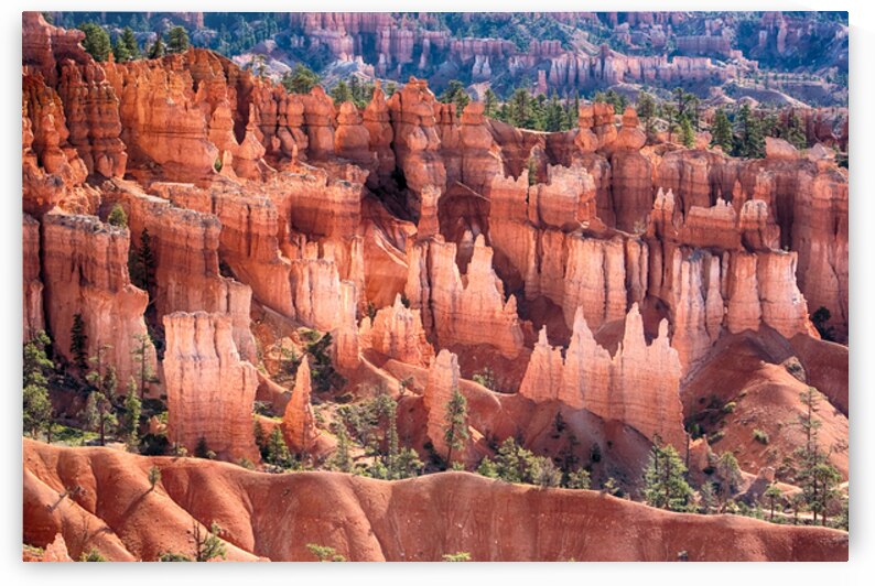 Bryce Canyon Utah Hoodoos Views by Bo Insogna