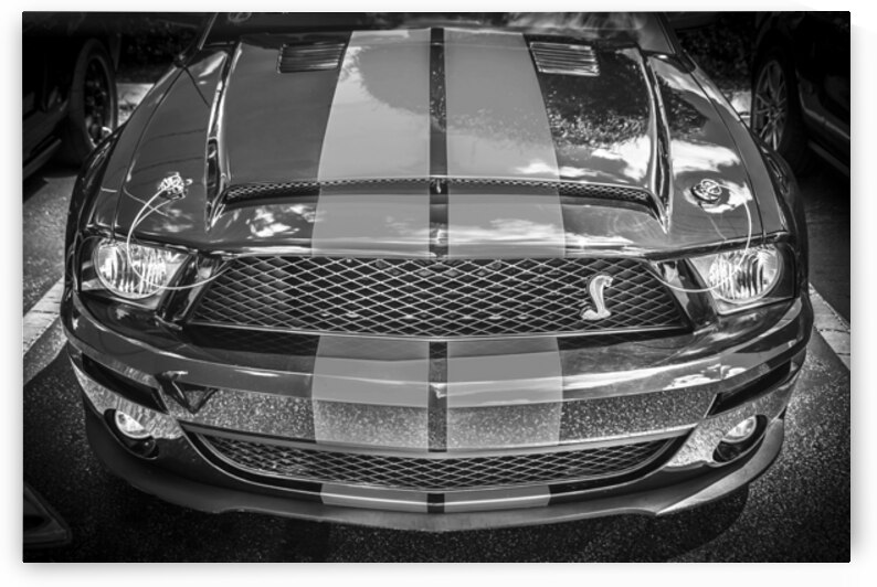 2007 Black Ford Shelby GT 500 Mustang 1 by Rich Franco