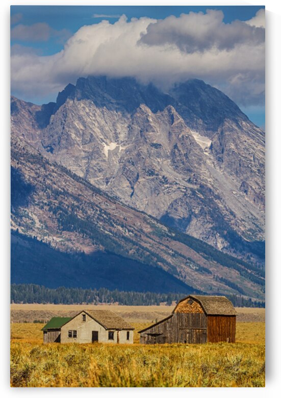 Historic Homestead Grand Teton Mountain Legacy by Bo Insogna