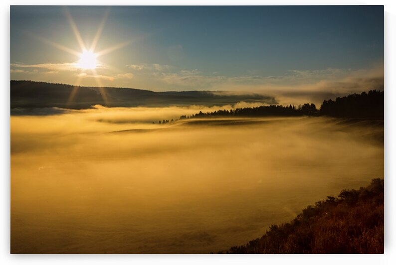 Golden Mist Sunrise Fog On Yellowstone Lake by Bo Insogna