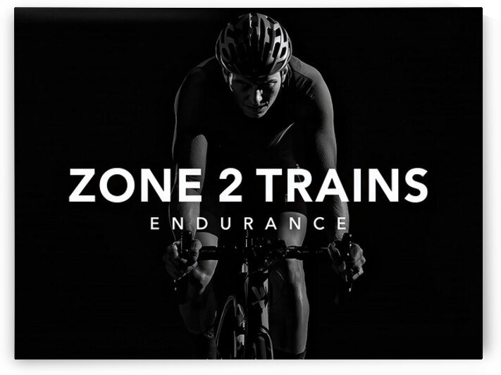 Zone 2 Trains Endurance — The Foundation of Performance by MotivatePrints