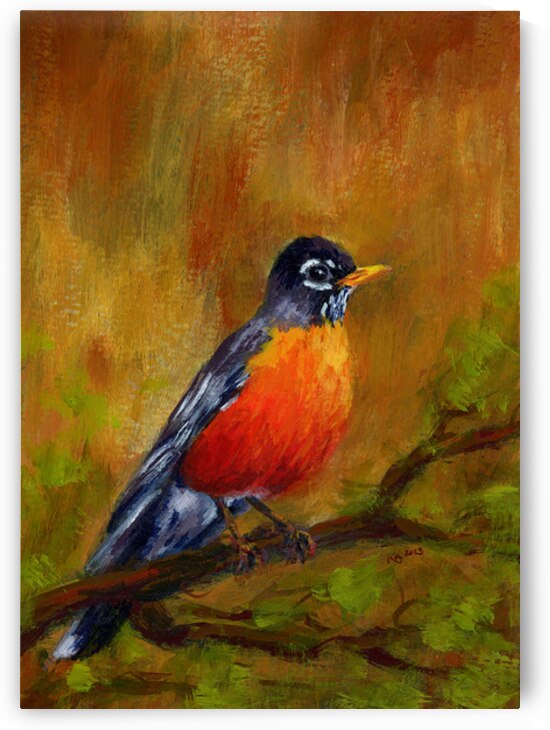 North American Robin portrait by Karen Kaspar