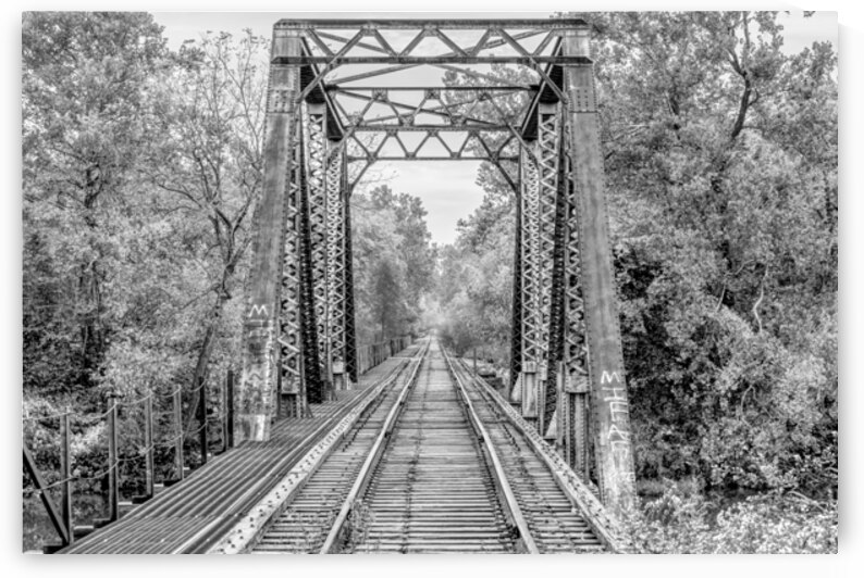 Autumn Railroad Crossing At Lake Springfield Grayscale by Jennifer White