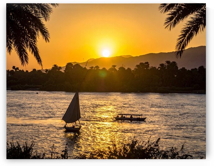 IMG 20251009 154638 972 by Hassan mounir