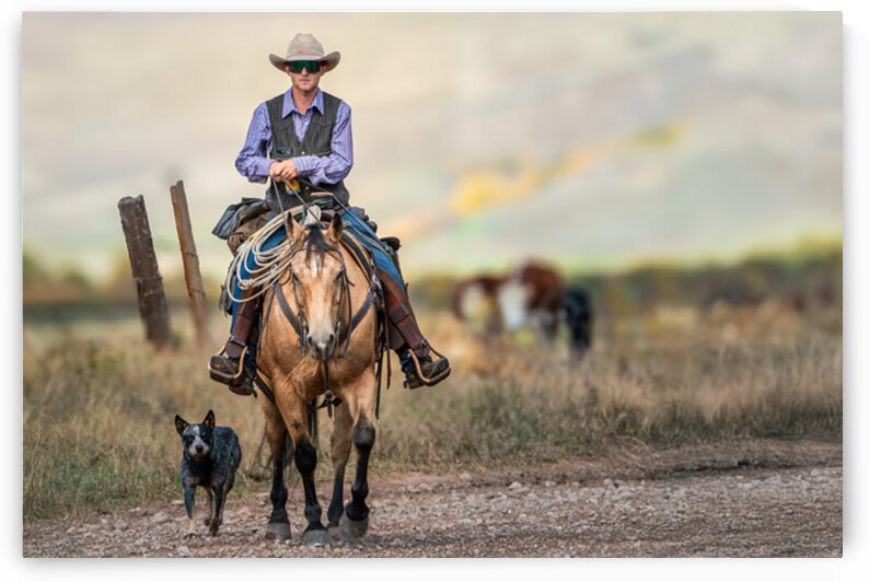 A Good Side Kick by Susan Humphrey Art