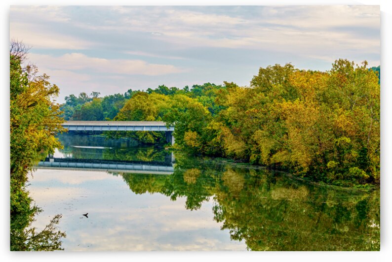 Reflections Of Autumn At Lake Springfield by Jennifer White