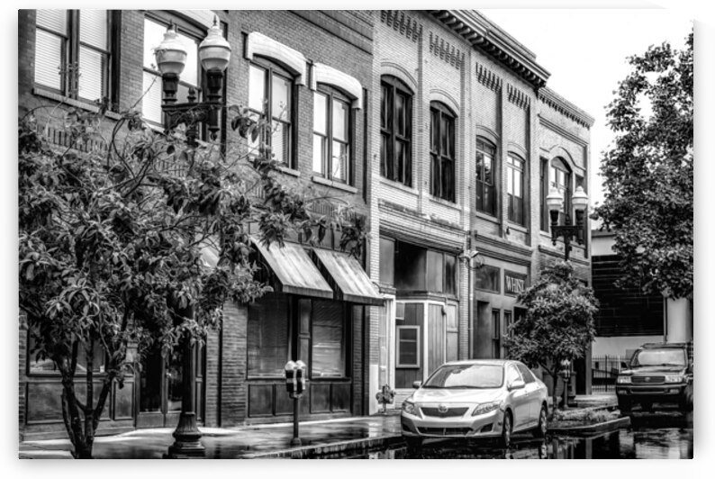 Historic Knoxville Tennessee Classic Architecture by Shelia Hunt Photography