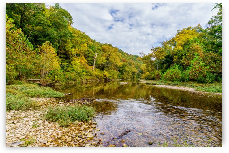 Spring Creek Waters Autumn by Jennifer White