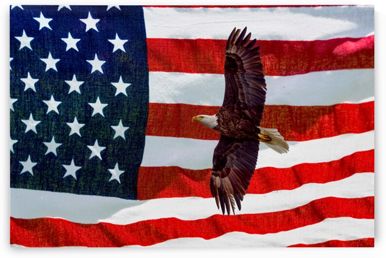 American Spirit by Jennifer White