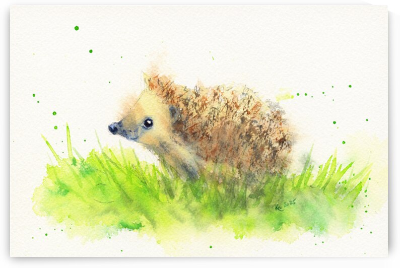 Curious little hedgehog in the meadow watercolor painting by Karen Kaspar