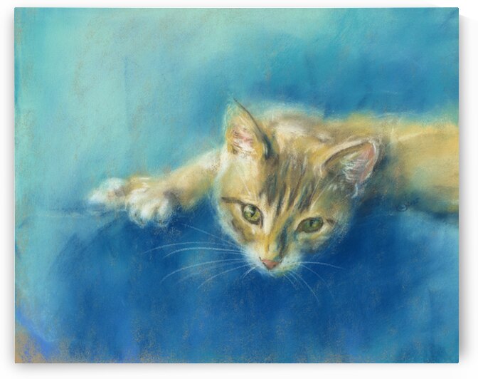 Cute little tabby cat by Karen Kaspar