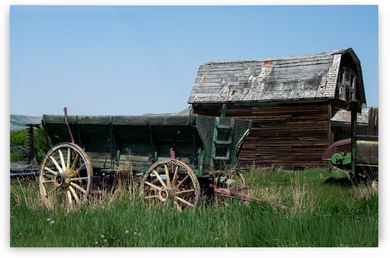 Pioneer by Nicola McGuire