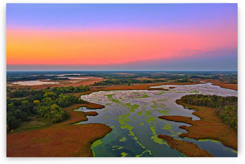 The Marsh Lands of Peltier Lake by UpThereAgain Photography