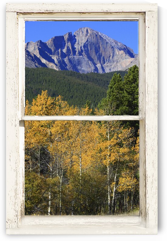 Colorado Autumn Longs Peak Window View Fine Art Print by Bo Insogna