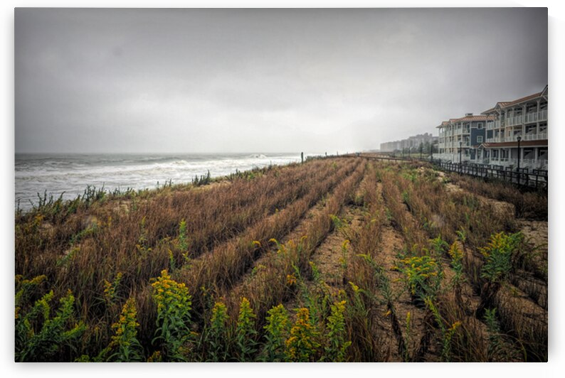 Waves to the Dunes in Bethany Beach by Bill Swartwout Photography