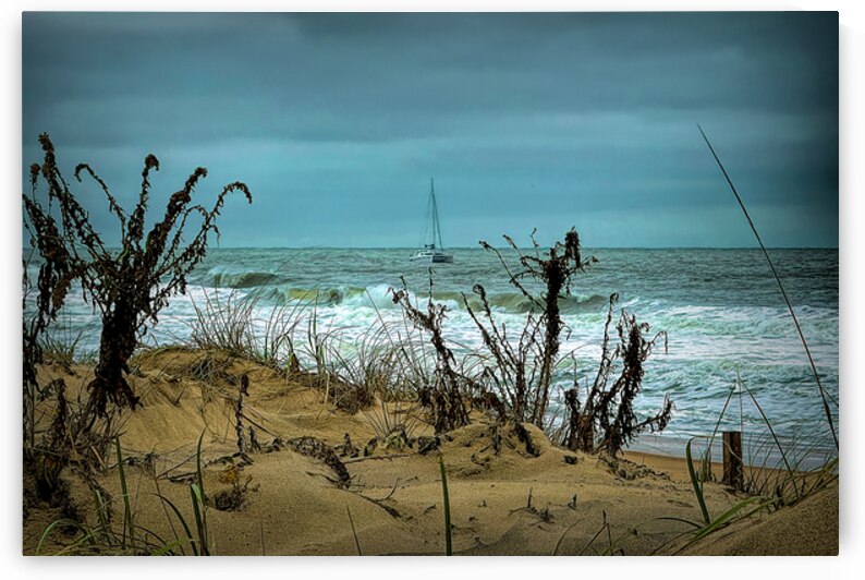 Sailboat at 142nd Street Ocean City by Bill Swartwout Photography
